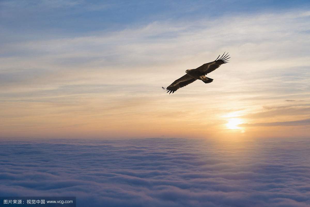 抑郁症患者该怎么慢慢走出来,抑郁症患者该如何展开自救