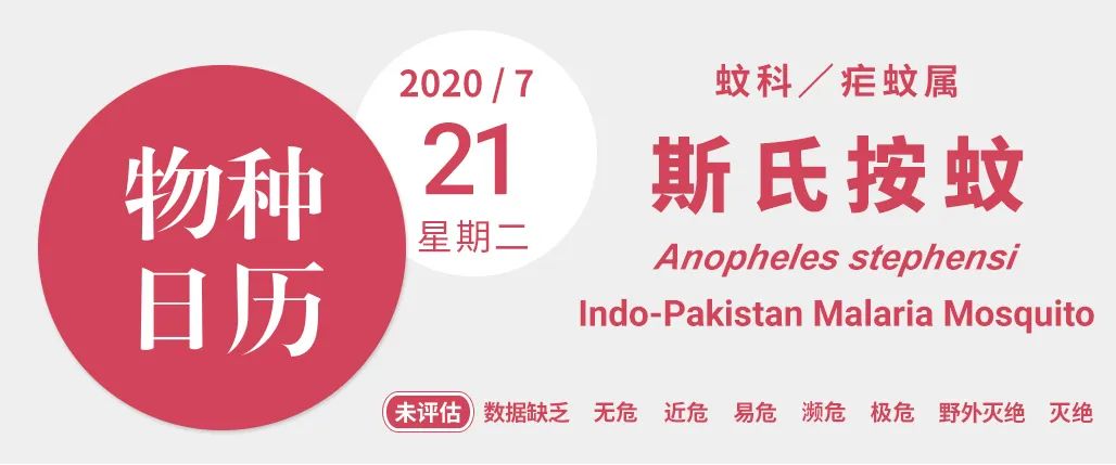 有什么办法让蚊子绝种,蚊子这么可恶为什么不让它灭绝