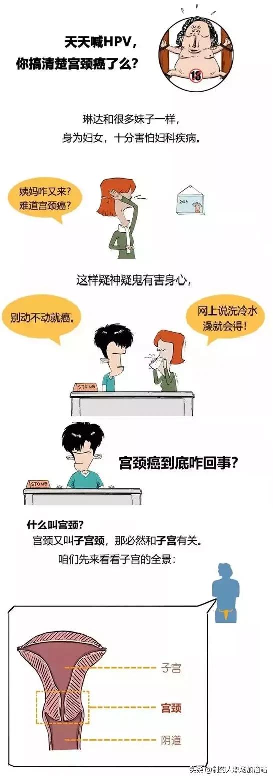 乳房癌、宫颈癌与HPV