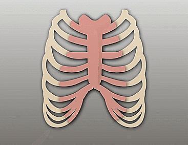 网红隆鼻精油有用吗,揭穿精油骗局