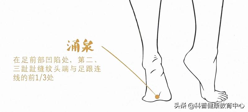 脾虚湿重肥胖吃什么药治疗,脾虚湿重肥胖喝什么