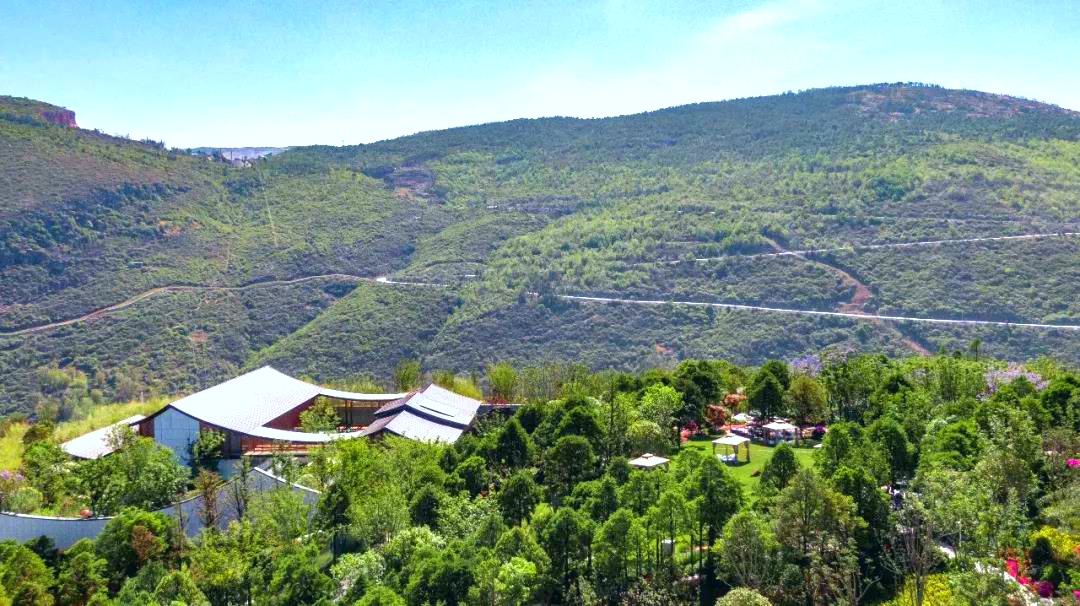 云南一家可以看到雪山的咖啡店,云南伴山咖啡馆