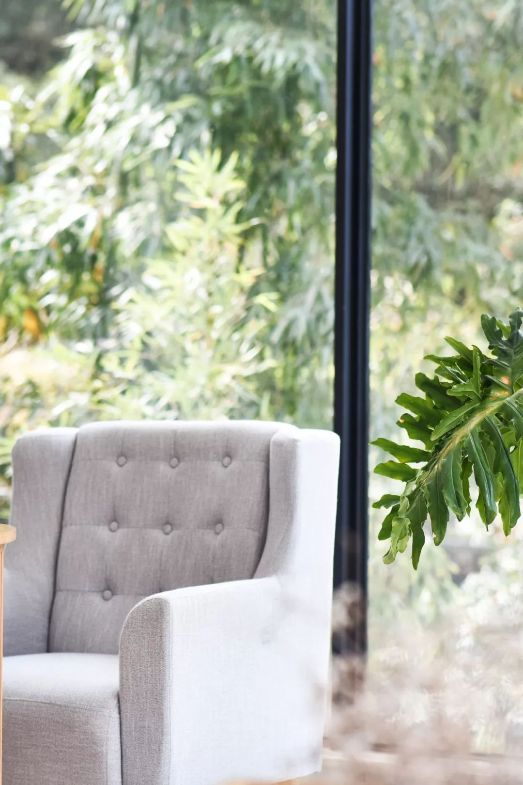 千岛湖绝美民宿,千岛湖玻璃屋民宿推荐