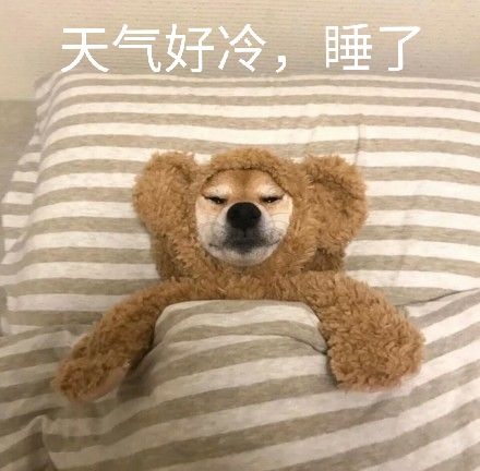 冷空气来袭秋裤穿了吗,冷空气来了一夜之间想穿秋裤了