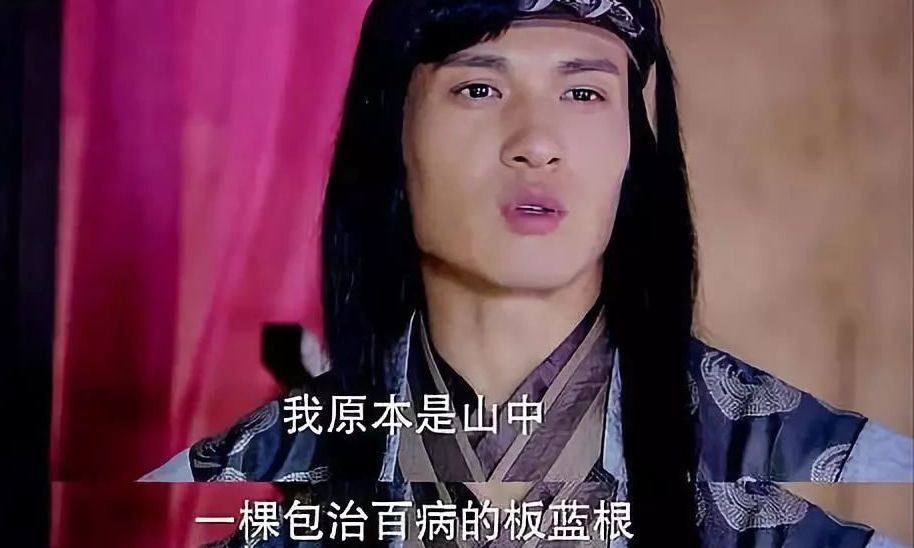 关于板蓝根介绍,板蓝根灭绝经历