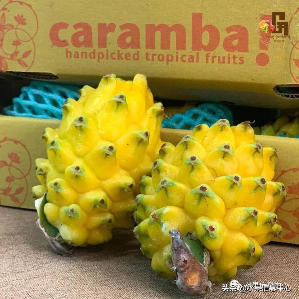 进口水果生意年入千万,批发水果月入百万