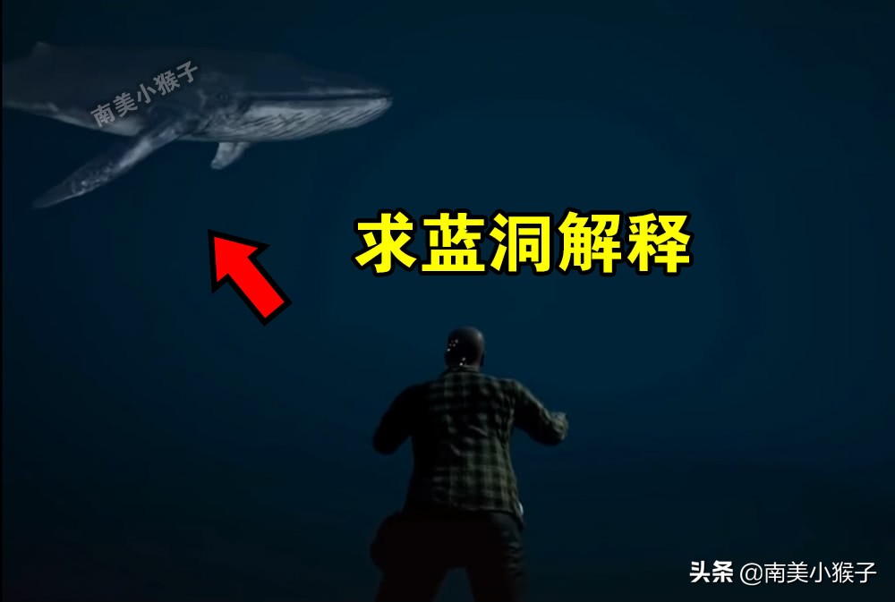 绝地求生的海里有什么？网红“鲲”上榜，你见过几个？