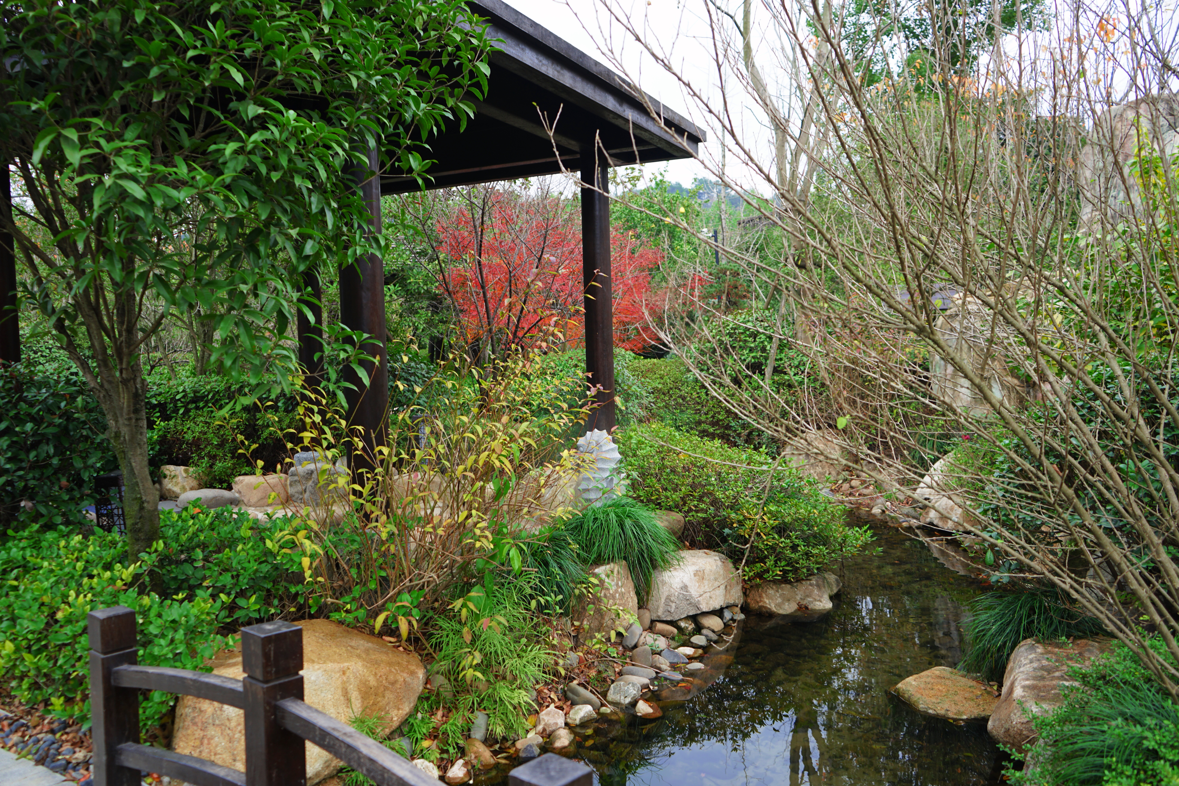 良渚君澜双人温泉,冬日暖阳泡温泉