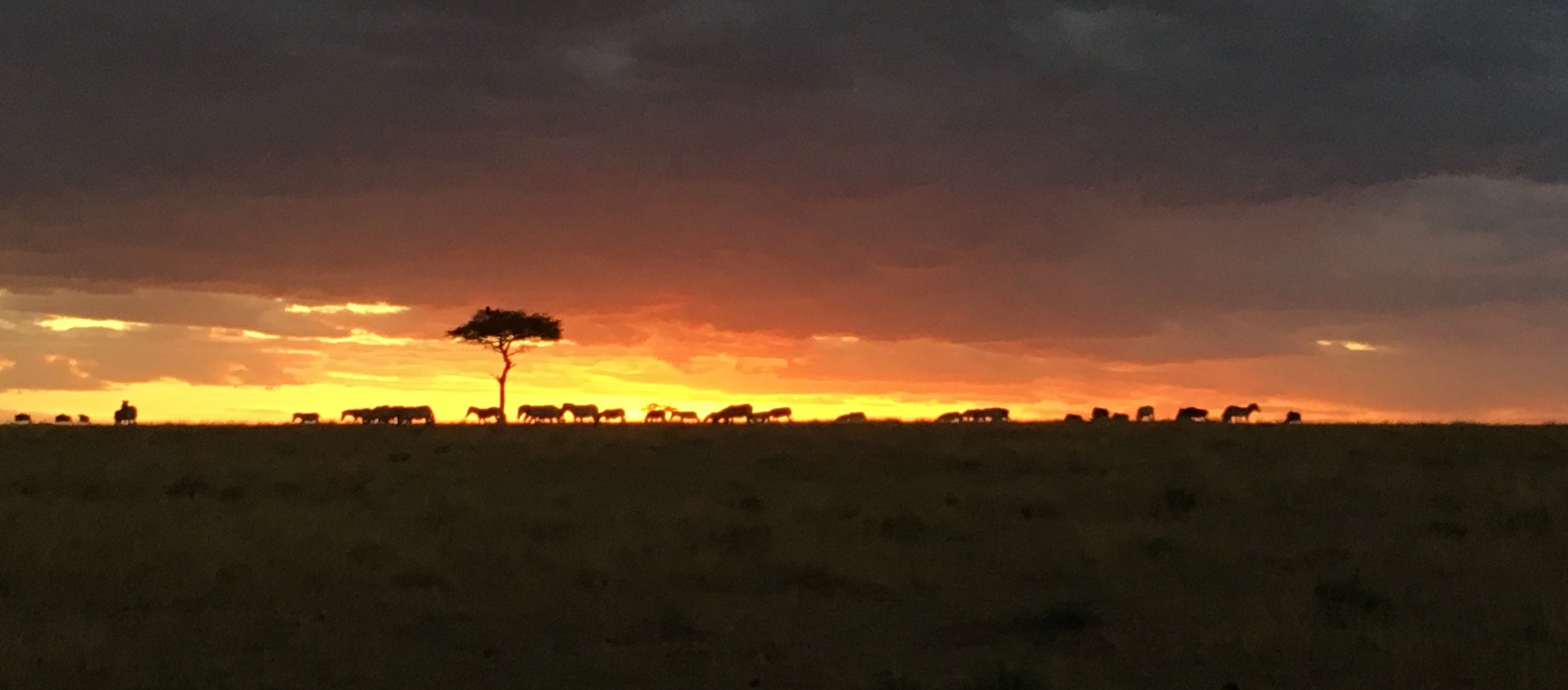 七大洲的全称各是什么,七大洲的名称简介来历