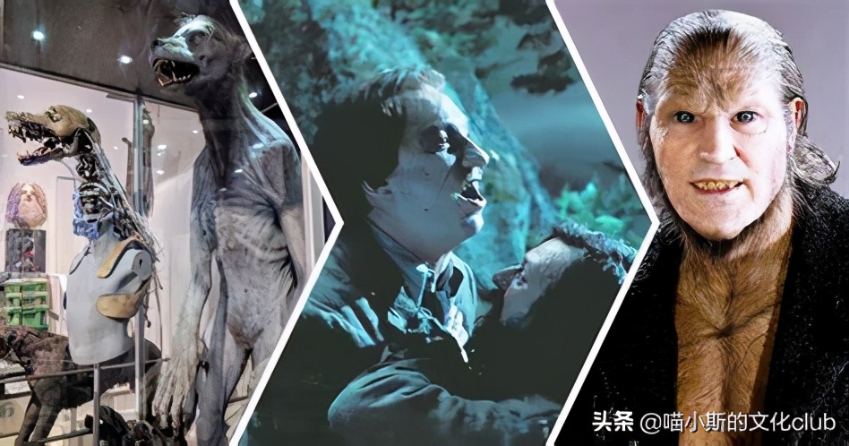 哈利·波特里的狼人都有谁,哈利波特有狼人的是哪一部