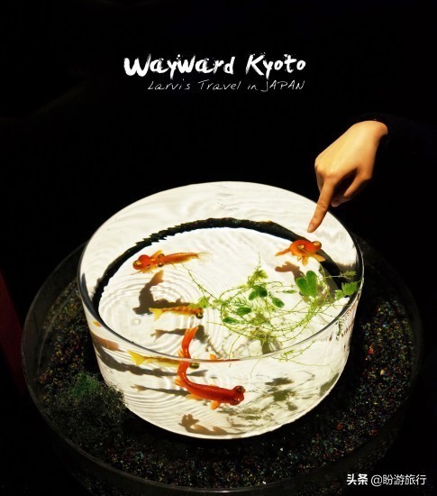 散步关西の日本深度自由行大阪都门奈良城崎、白滨温泉(上篇)