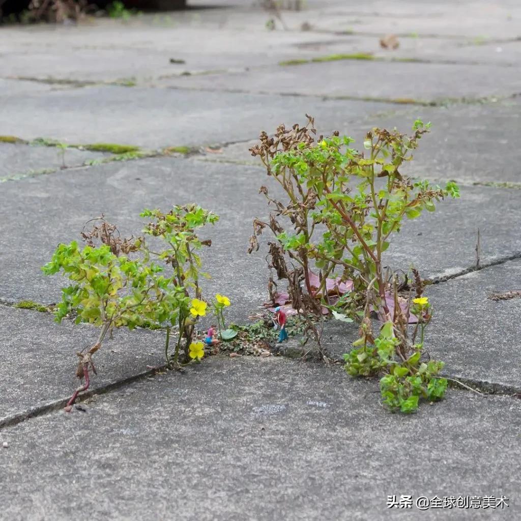 Blink,U’llmissit｜小人国居民现身地球