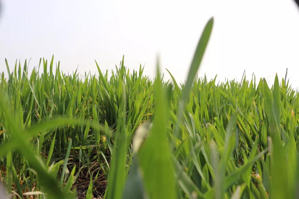 苹果手机怎么快速截图三种方法,苹果13promax使用技巧截图