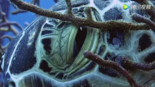 彭于晏我最需要的时候你在哪里,彭于晏我最需要他的时候他在哪里