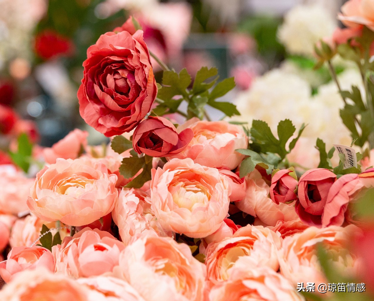 复合是重蹈覆辙还是破镜重圆,复合后的感情只是重蹈覆辙