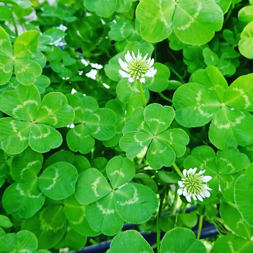 名古屋附近值得去的地方,名古屋附近有好玩的地方吗