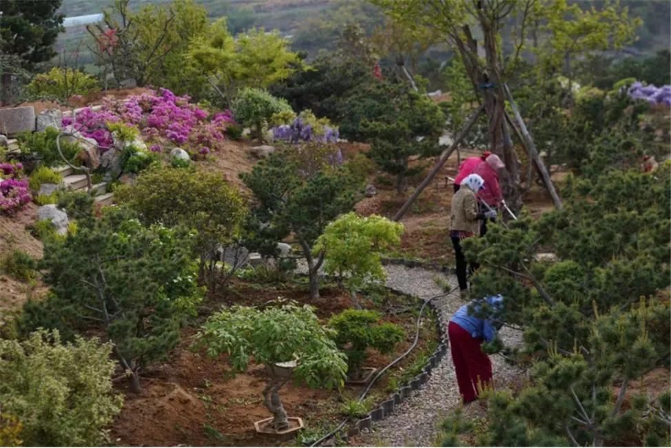 星空露营生态园,星空露营户外团建策划