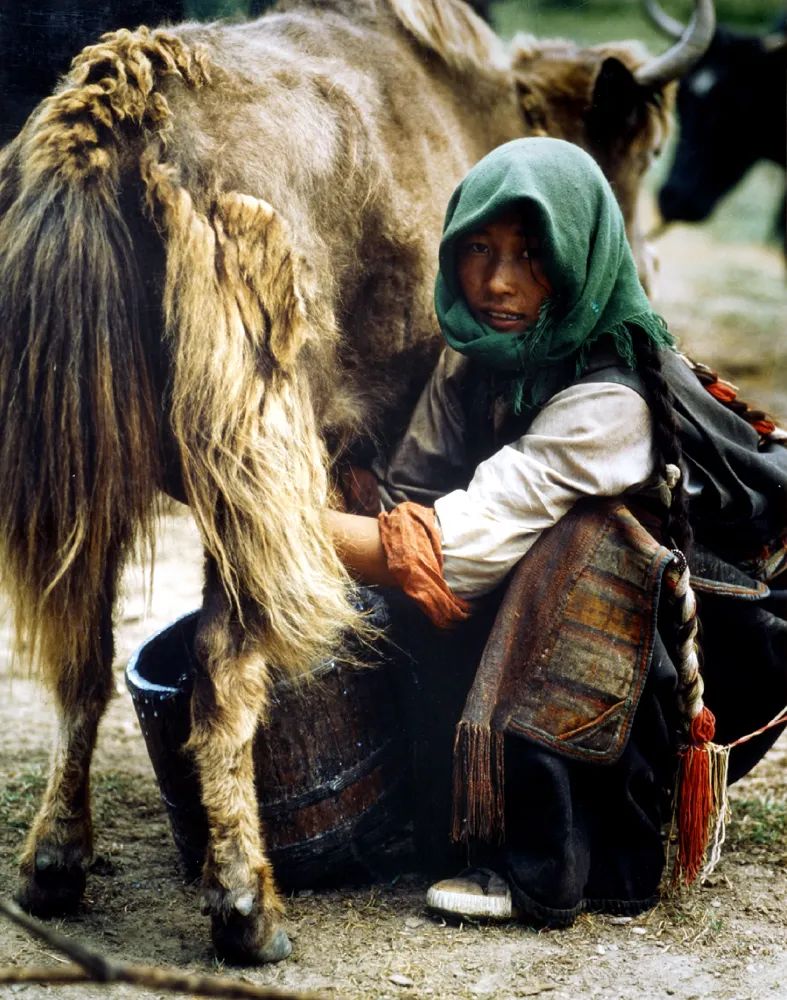 深深悼念|“长江全程摄影第一人”沈延太