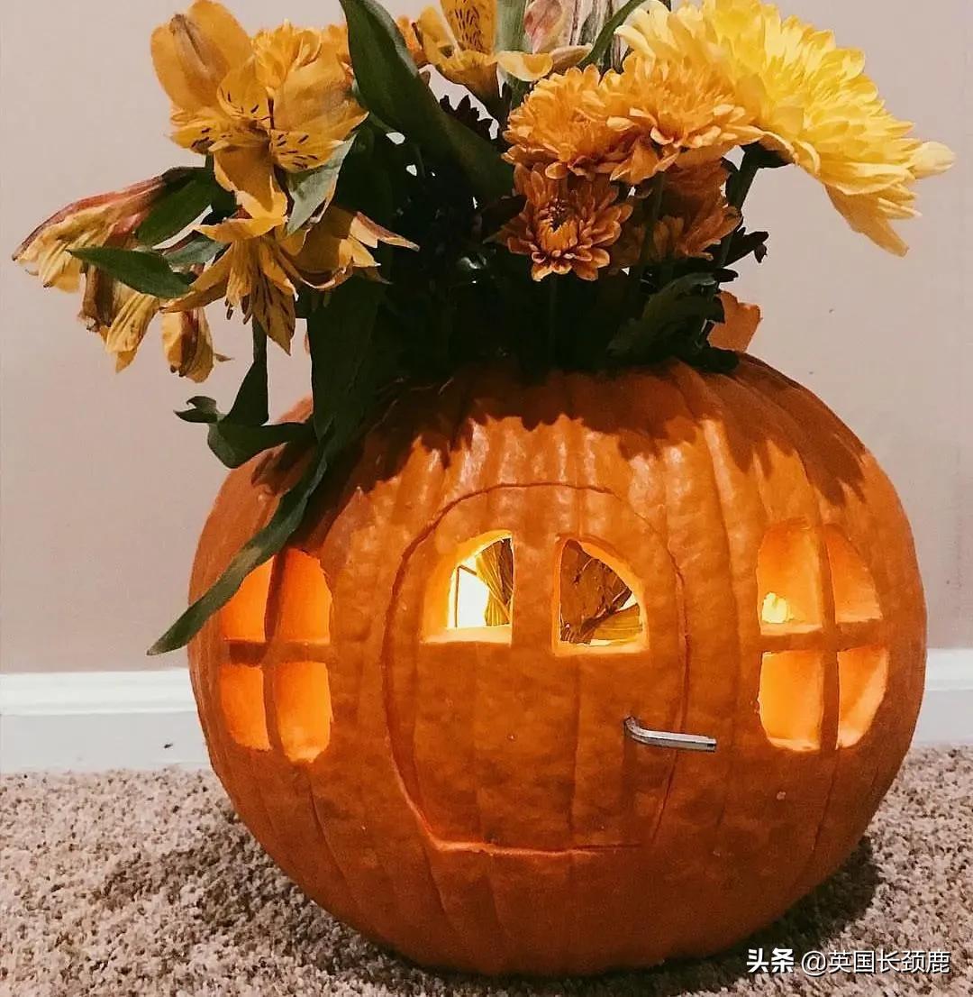 南瓜大作战攻略,南瓜大作战有几个地点