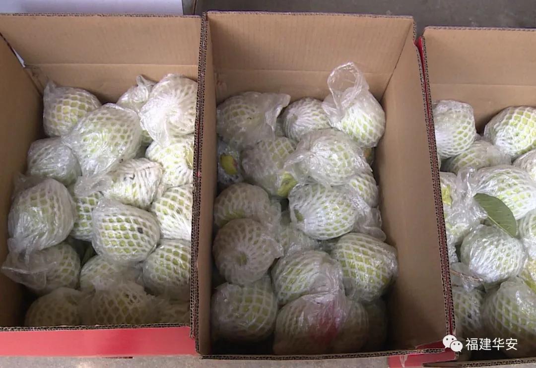 华安：【民生】果中“红宝石”，美味上线啦~