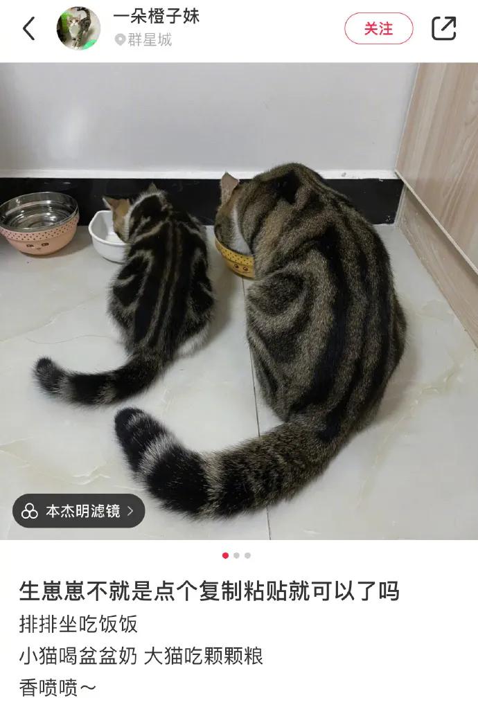 每日一难题中午吃什么,每日一苦恼中午吃什么