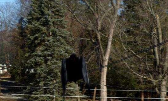 恐怖未知生物目击事件视频,海洋深处目击的未知生物