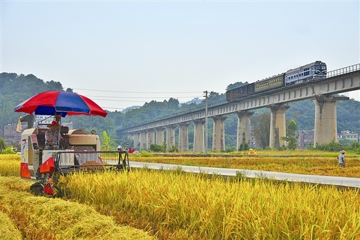 梧州市万秀区齐头并进多举措奋力攻坚清家底