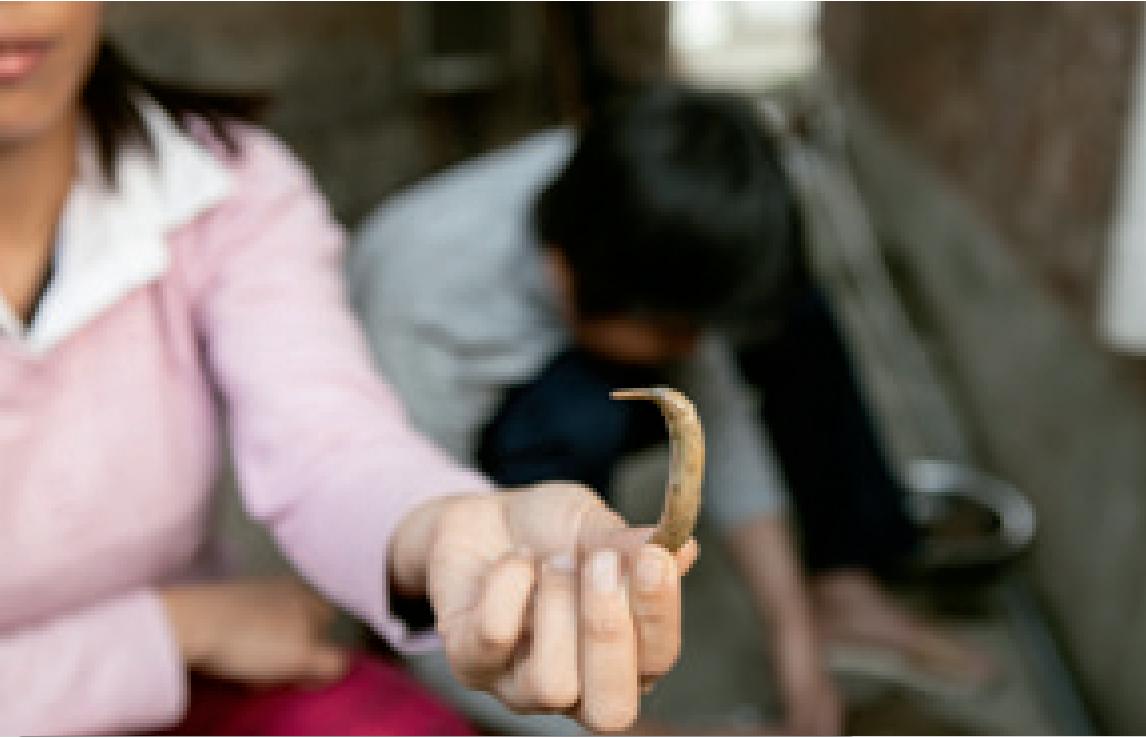 土笋冻的土笋真的是虫吗,土笋冻土丁冻的区别