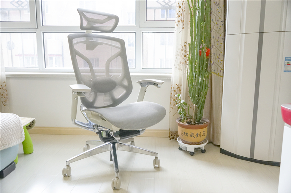 ergoup有谱人体工学椅商品,ergoup有谱人体工学椅推荐