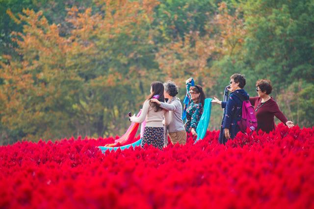 第一次带妈妈去旅游应该去哪里,适合带妈妈去旅行的地方