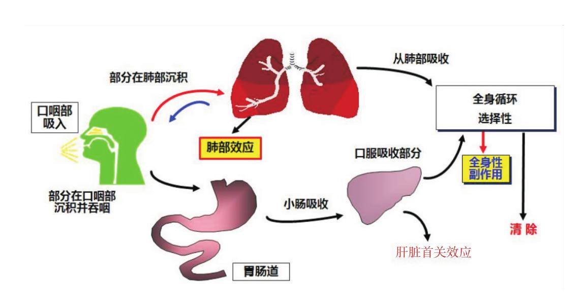 婴儿咳嗽雾化一般做多少天,妈妈正确护理婴儿