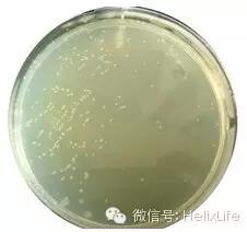 分子构建的正确流程是什么,分子构建最新技术