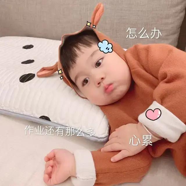 表情包作业多,作业一点都不多表情包