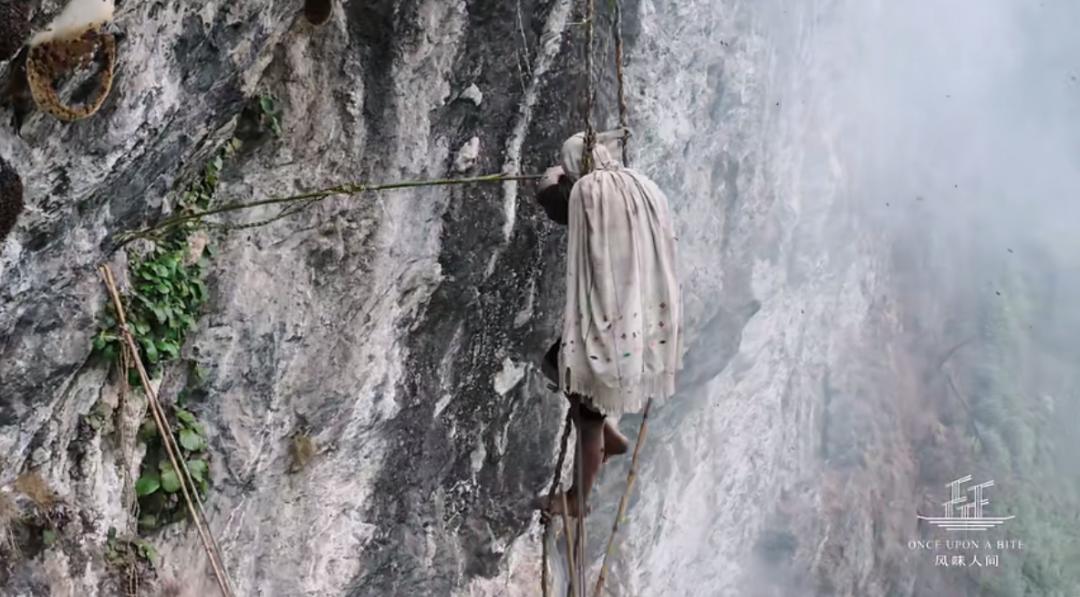 全程舔屏,开播就飙到9.4分,全中国最懂吃的那个男人又来了