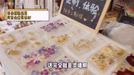 植物之美在于万物皆有情愫,植物之美有哪些