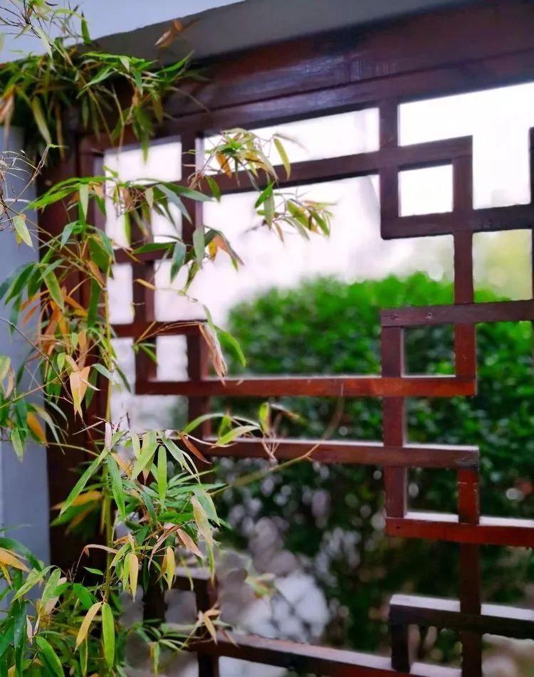 漫随天外云卷云舒原文,漫随天外云卷舒小说