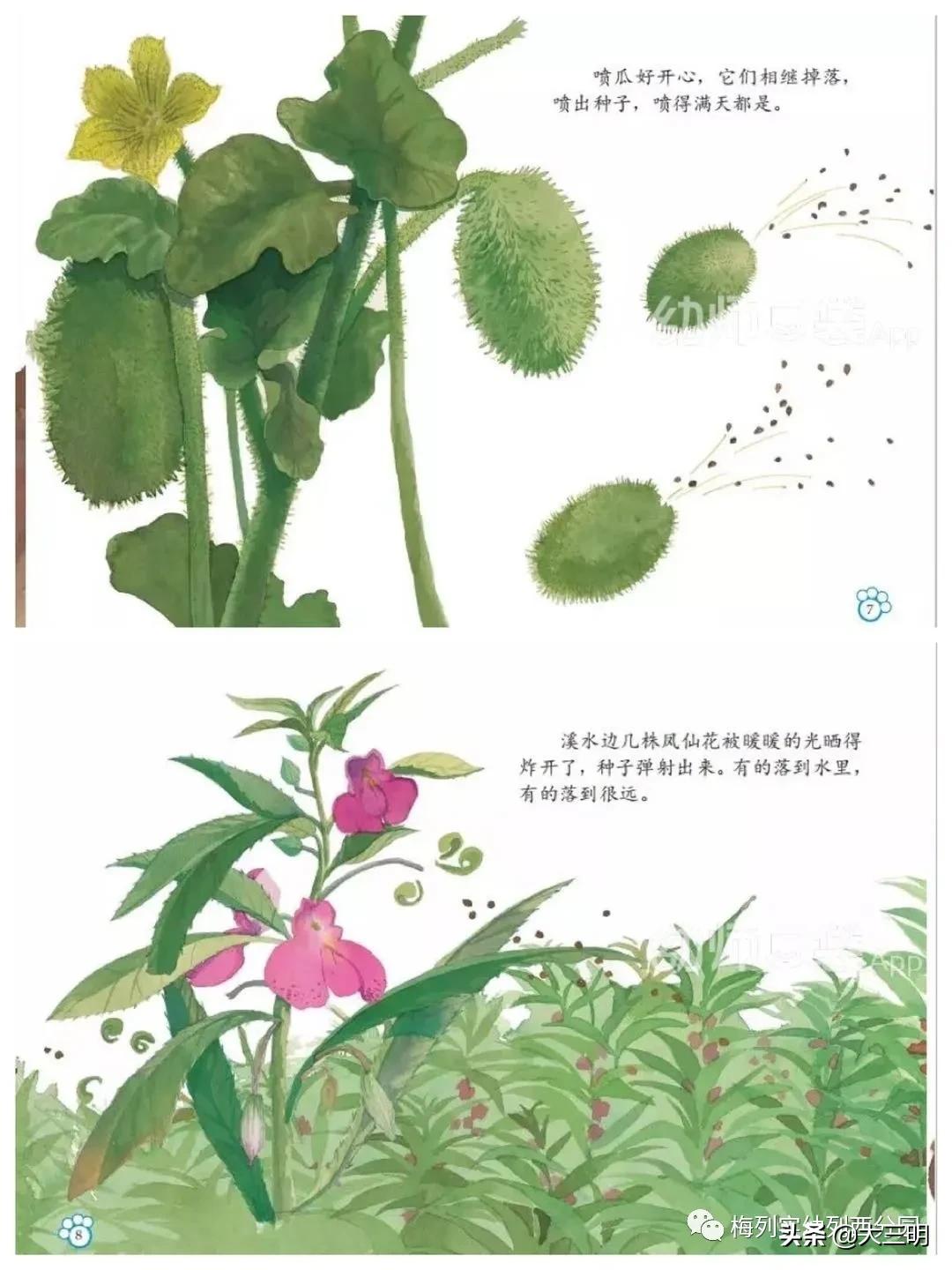 「家园齐心共战疫情」梅列实幼列西分园亲子“爱•悦课堂”中班（第四期）