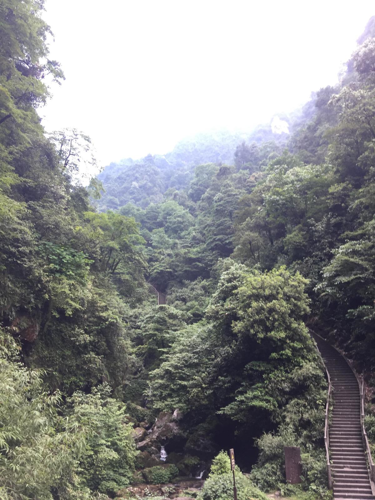 峨眉山登顶佛像,峨眉山登顶记完整版