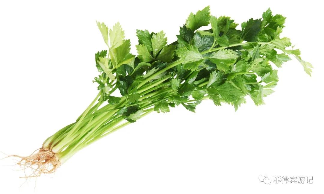 菲律宾青菜价格表,菲律宾蔬菜为什么那么贵