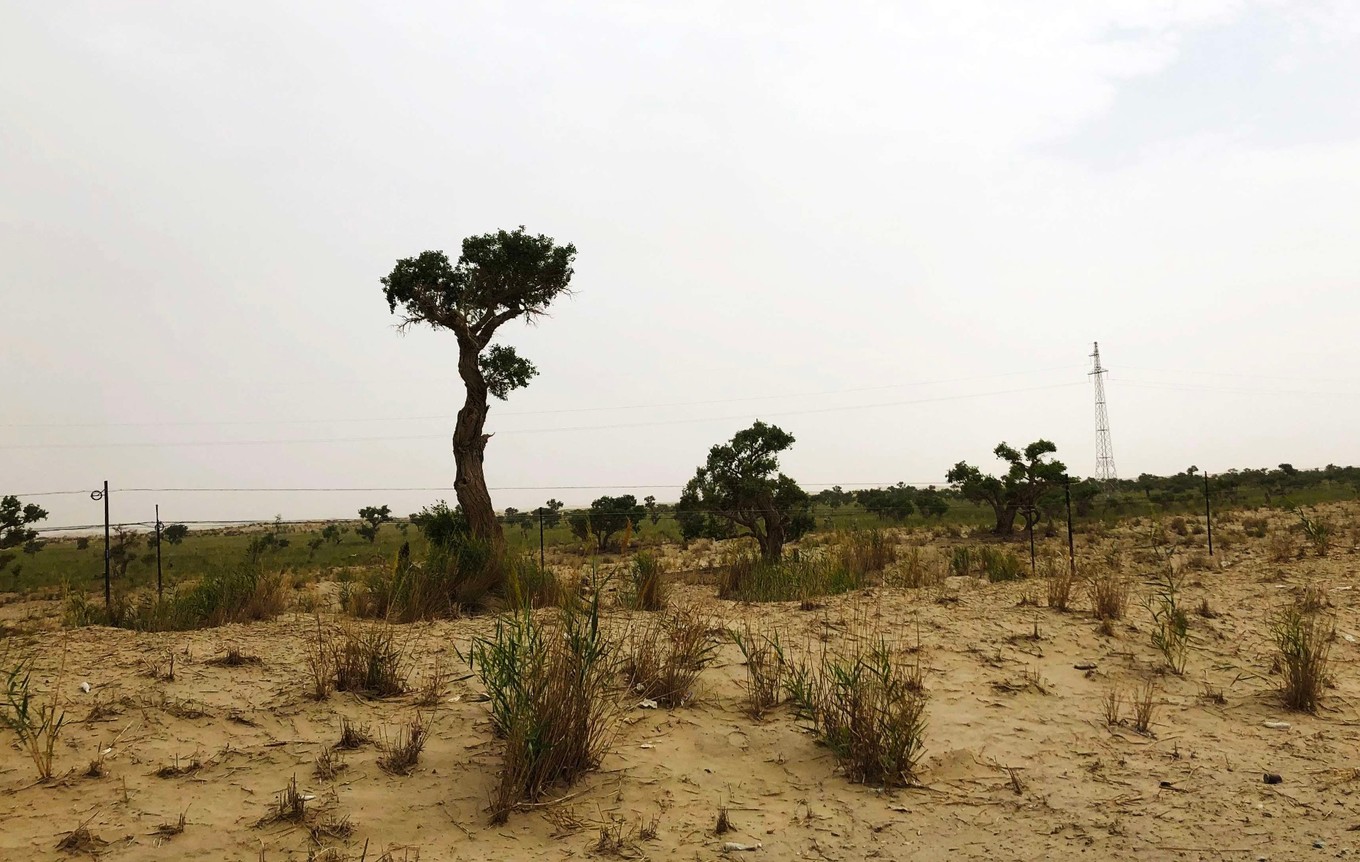 楼兰古国若羌,且末县和若羌县哪个县大