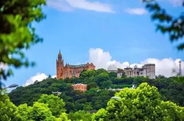 上海春游踏青好去处,上海春季踏青旅游攻略