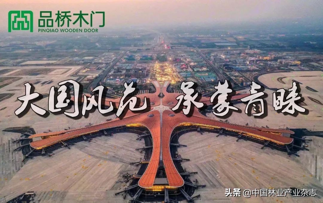 品桥木门：北京大兴机场|凤凰已经展翅，未来正在启航，我门承蒙青睐