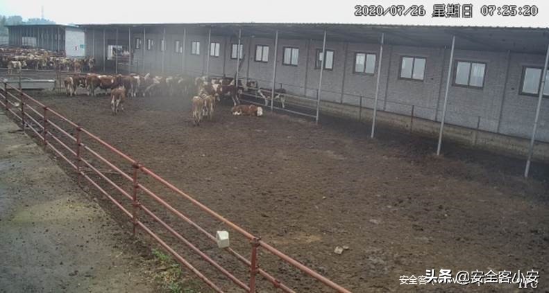 云养殖资金盘最新消息,最新云养殖资金盘