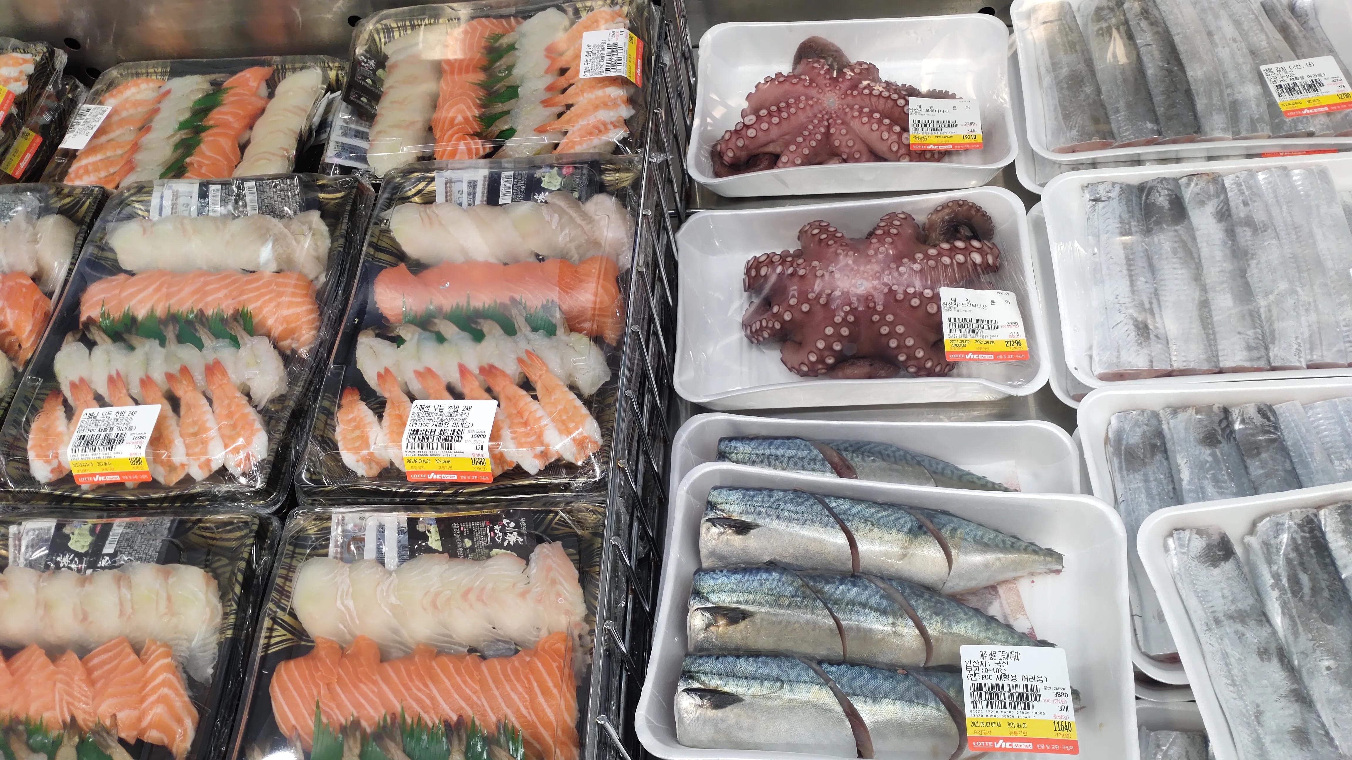 首尔layered咖啡,首尔很多萨摩耶的地方