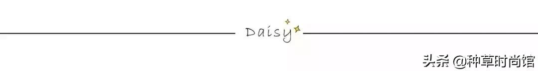 初学者如何使用kissme眼线笔,kissme眼线笔真实测评黑茶色