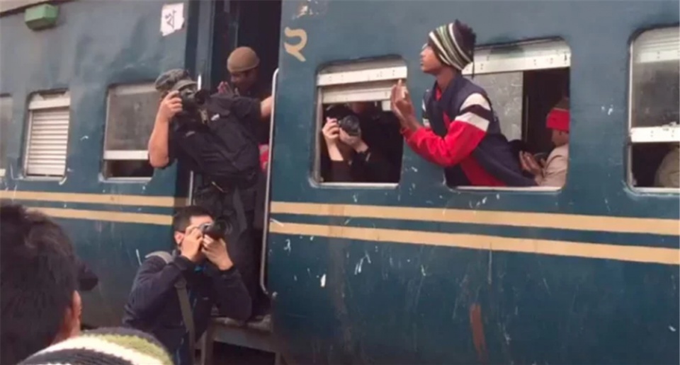 人物摆拍骗大奖,野生动物摄影造假