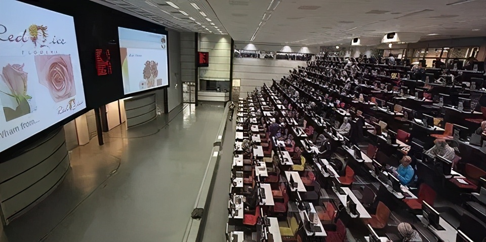 摆地摊荷兰式拍卖视频,什么是荷兰式拍卖