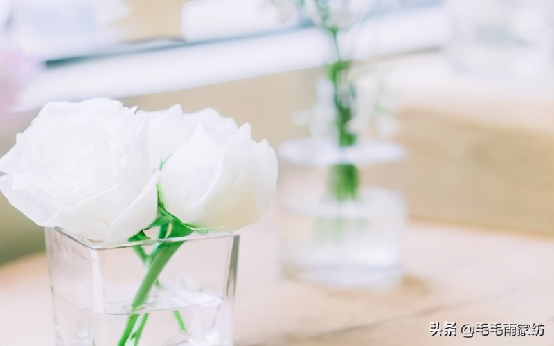 过年送爸妈什么礼物比较实惠,过年爸妈礼物