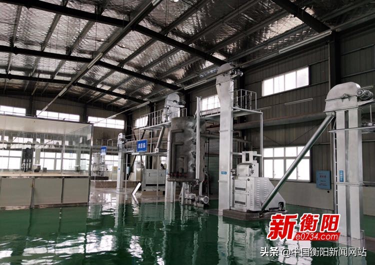 衡阳油茶未来发展,科学技术为油茶产业发展加油