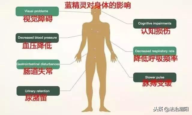 代购转一般贸易,代购贩毒案